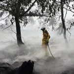 hautes fagnes un incendie de 3 000 hectares qui resiste a la