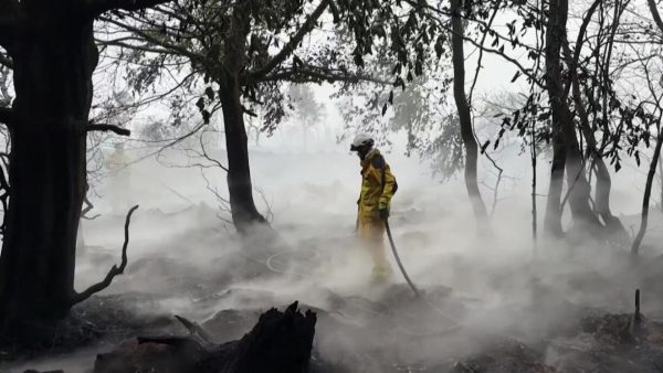 Hautes Fagnes : un incendie de 3 000 hectares qui résiste à la pluie